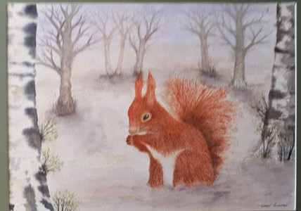Terry, Squirrel out of lockdown, watercolour.jpg